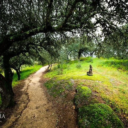 Herdade Da Rocha - Boutique Lodge Crato Bagian luar foto