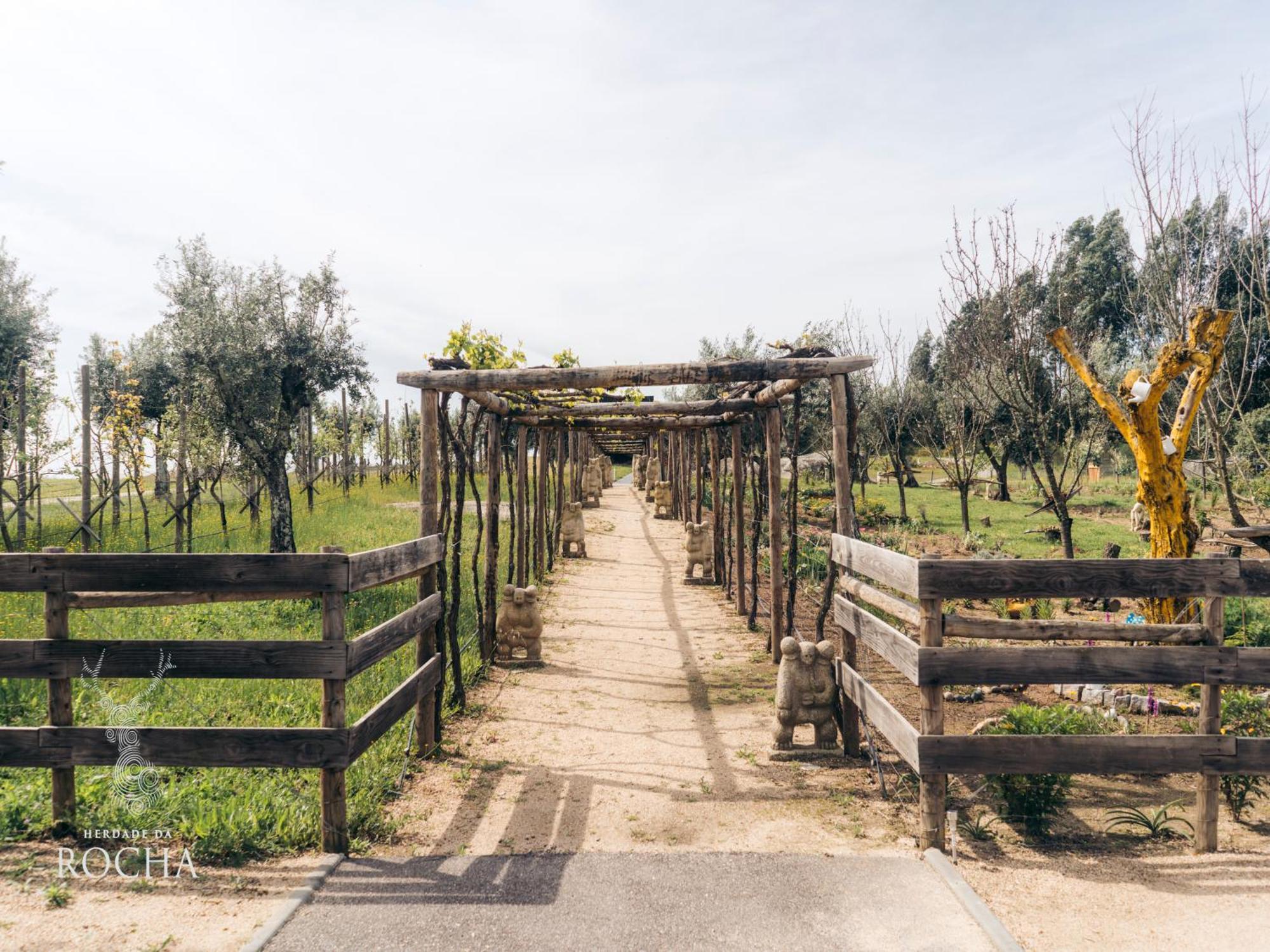 Herdade Da Rocha - Boutique Lodge Crato Bagian luar foto