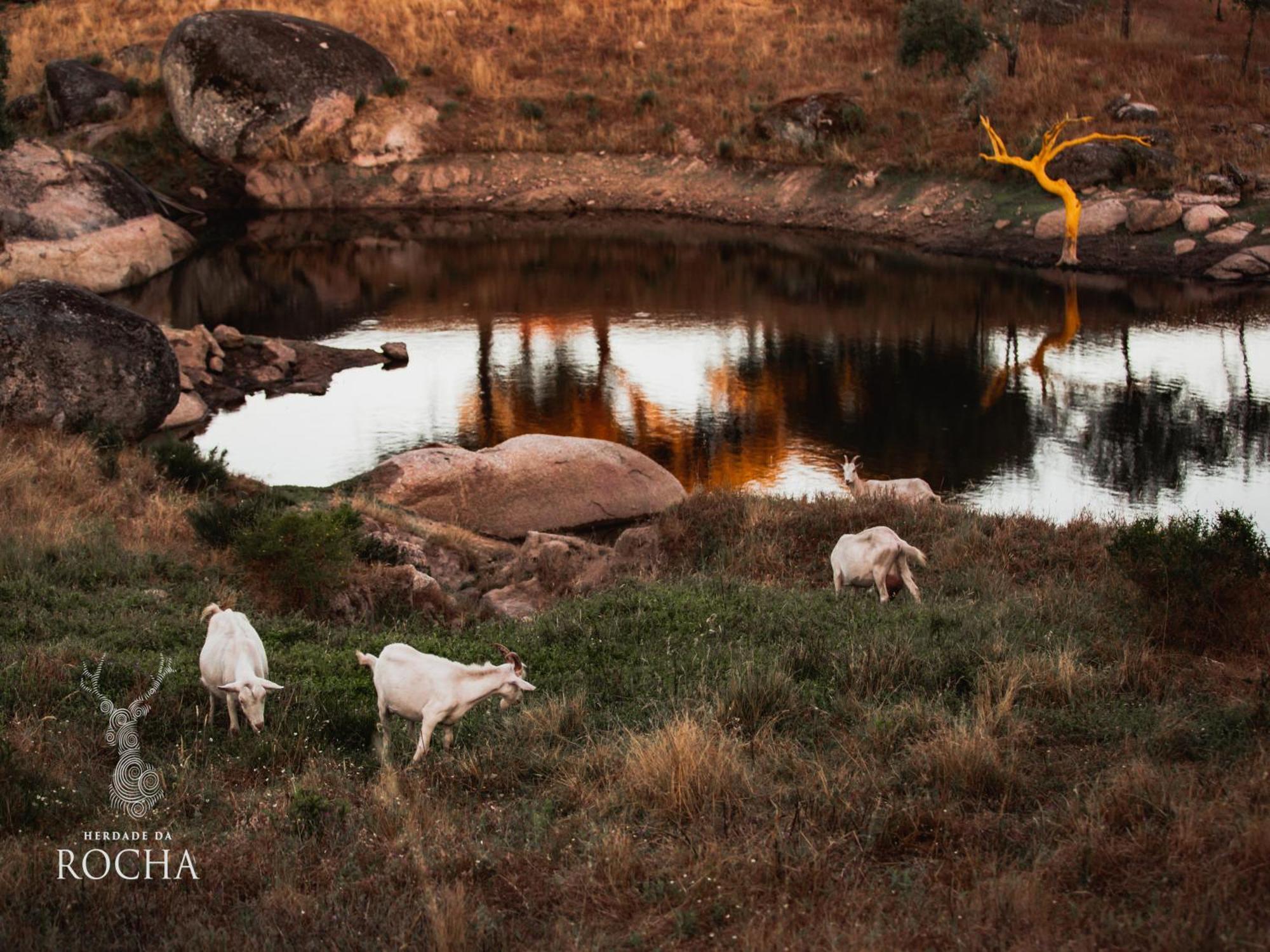 Herdade Da Rocha - Boutique Lodge Crato Bagian luar foto