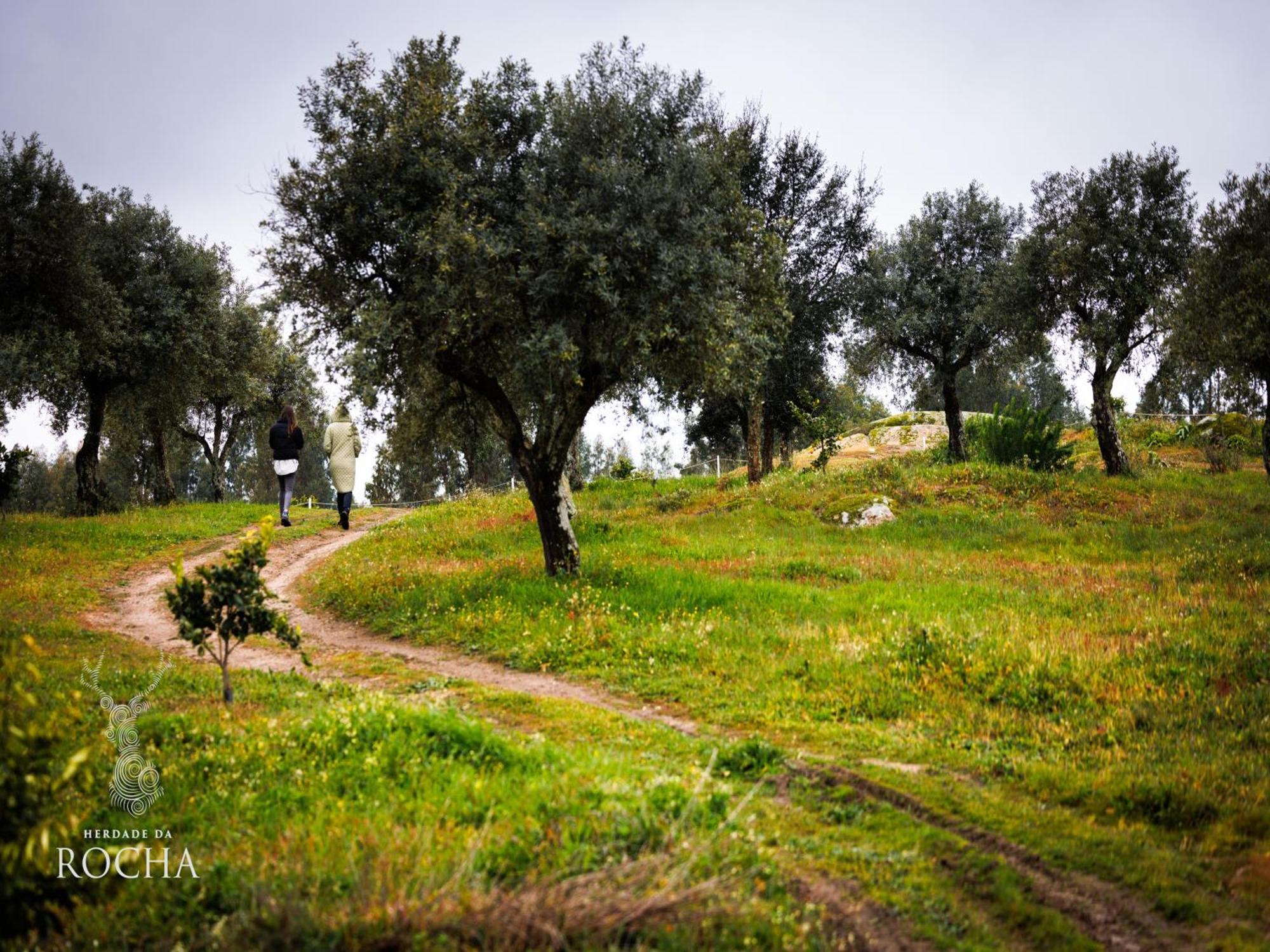 Herdade Da Rocha - Boutique Lodge Crato Bagian luar foto