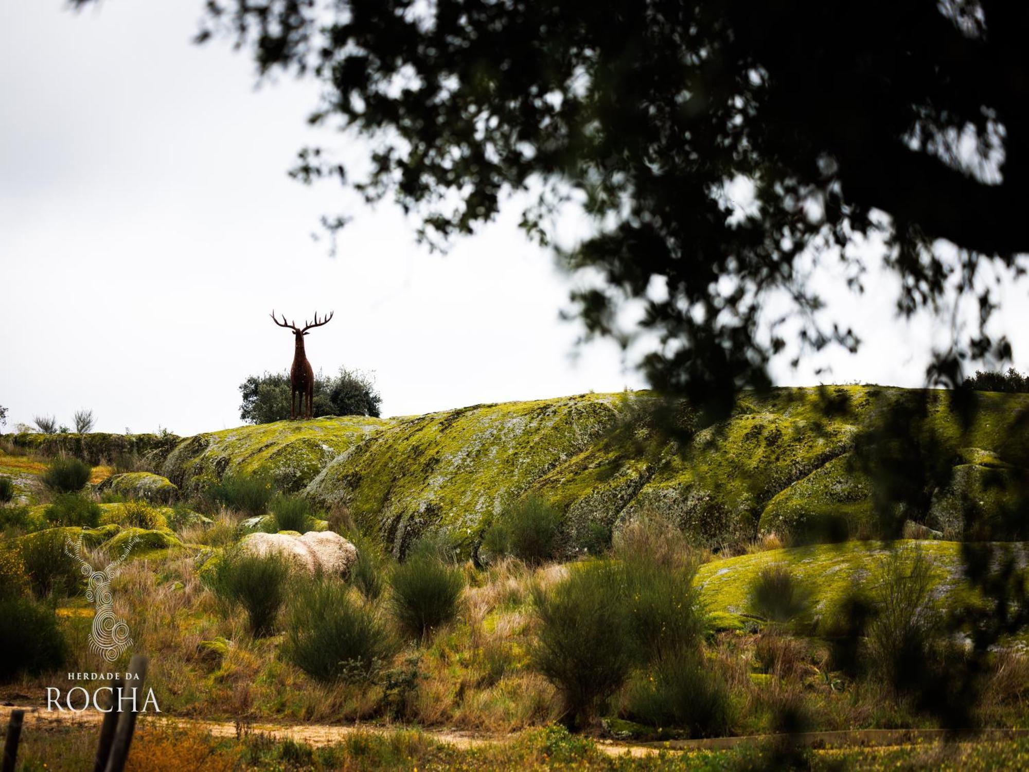 Herdade Da Rocha - Boutique Lodge Crato Bagian luar foto