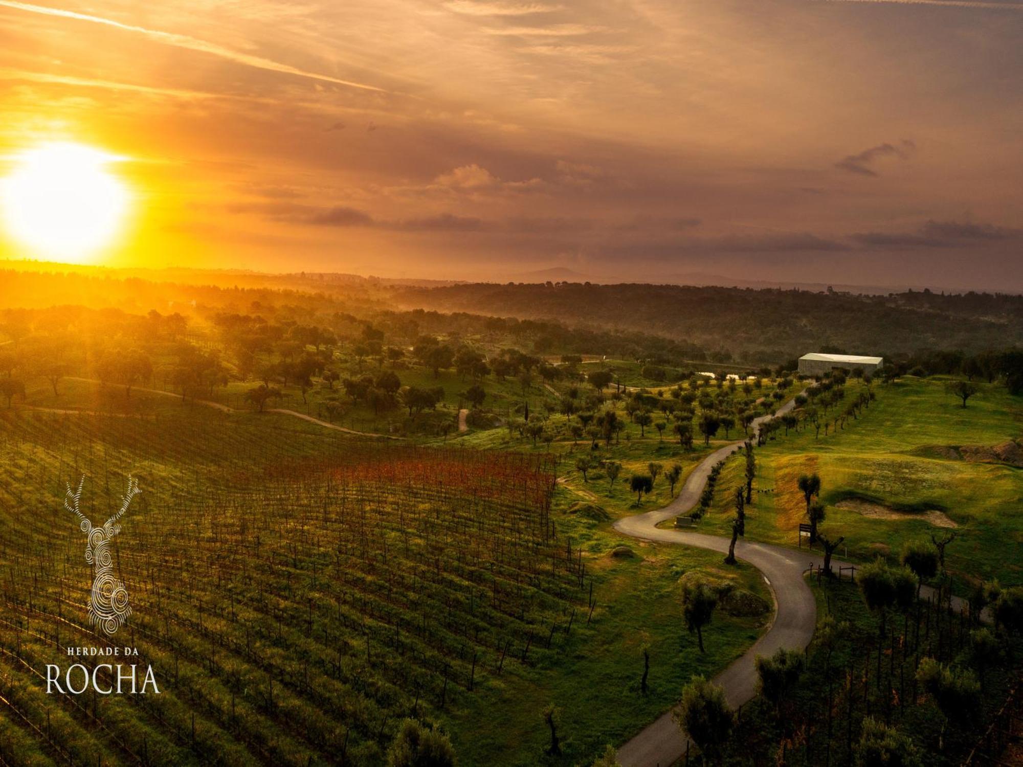 Herdade Da Rocha - Boutique Lodge Crato Bagian luar foto